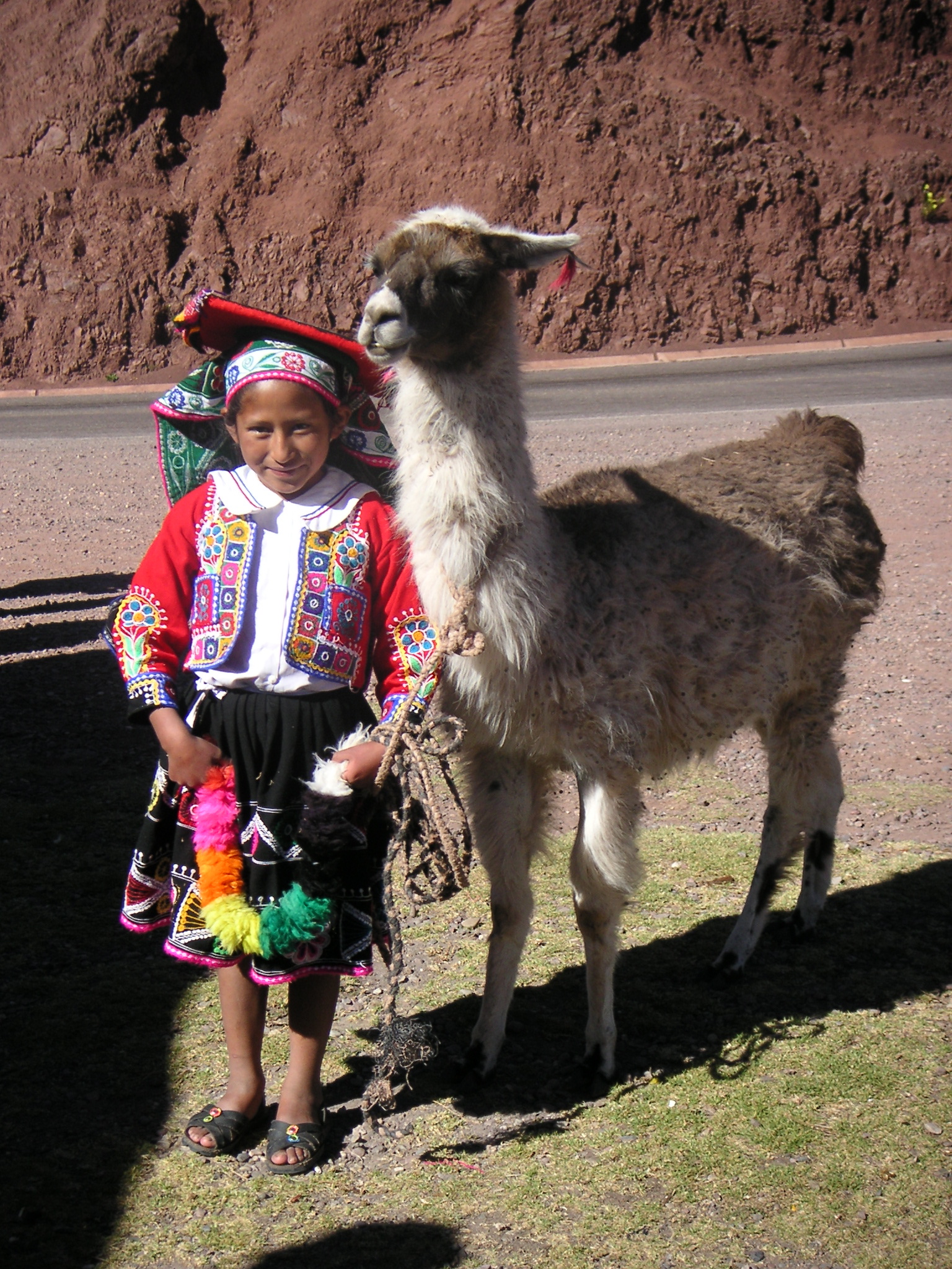 A native girl with her llama.