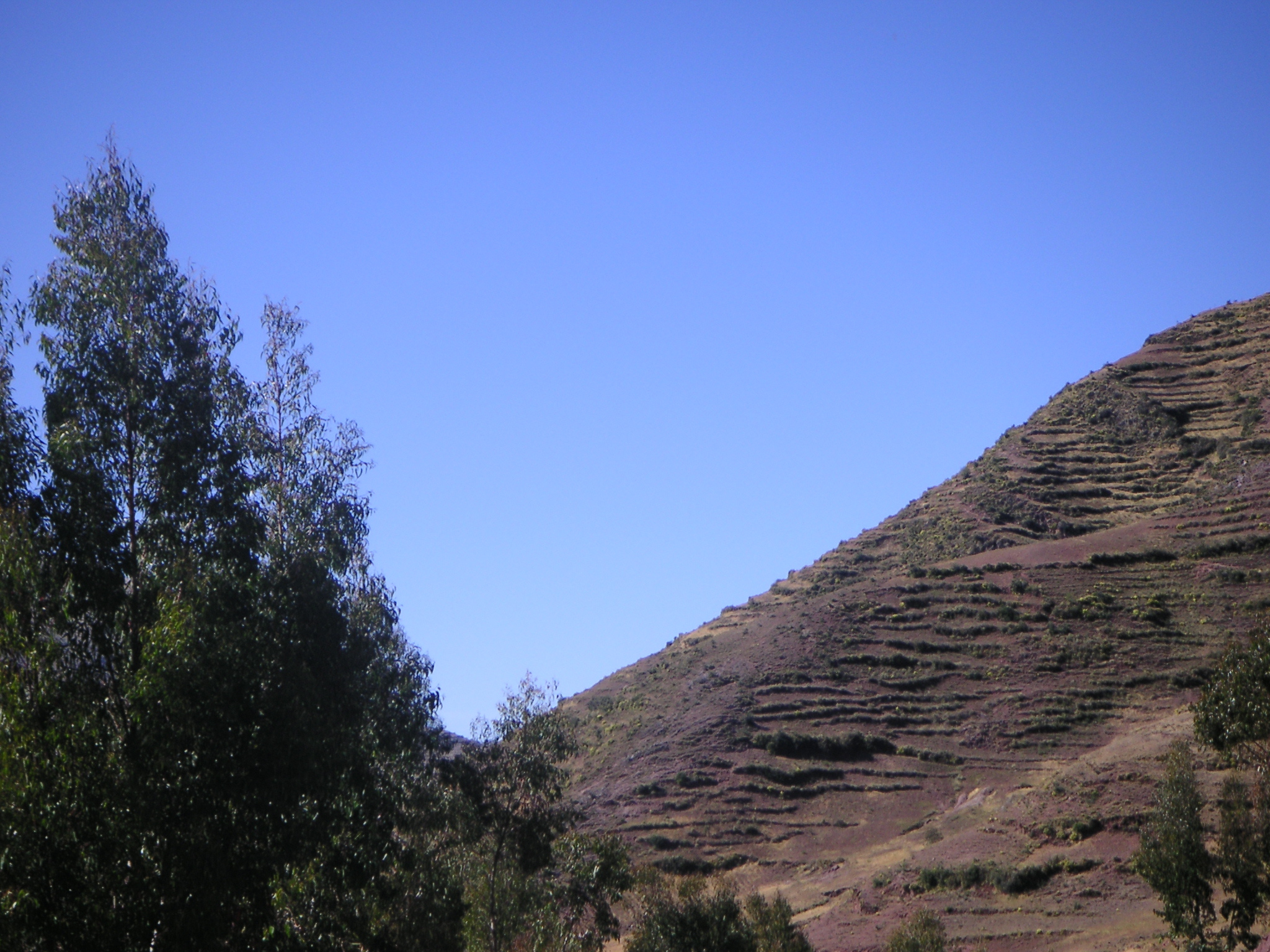 View of a mountain from the road.