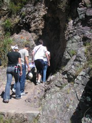 Students hiking on the trail.