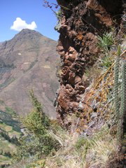 "Faces in the Andes," a view from the trail. I think this rock formation looks like a mass of faces.