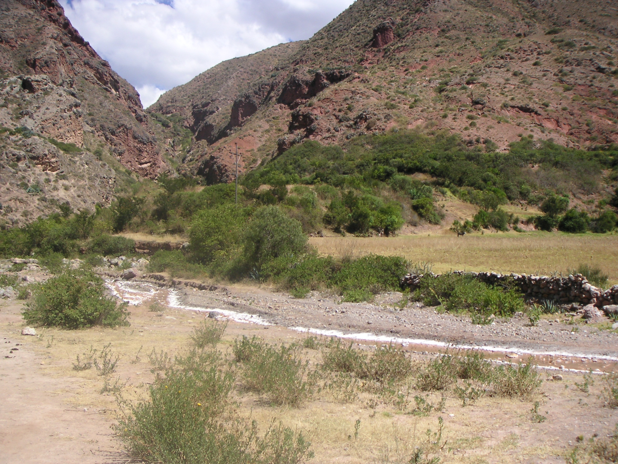 We begin to see salt along a stream near the salt mines of Maras.