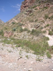 The trail to the salt mines of Maras. It may not look steep, but it really is!