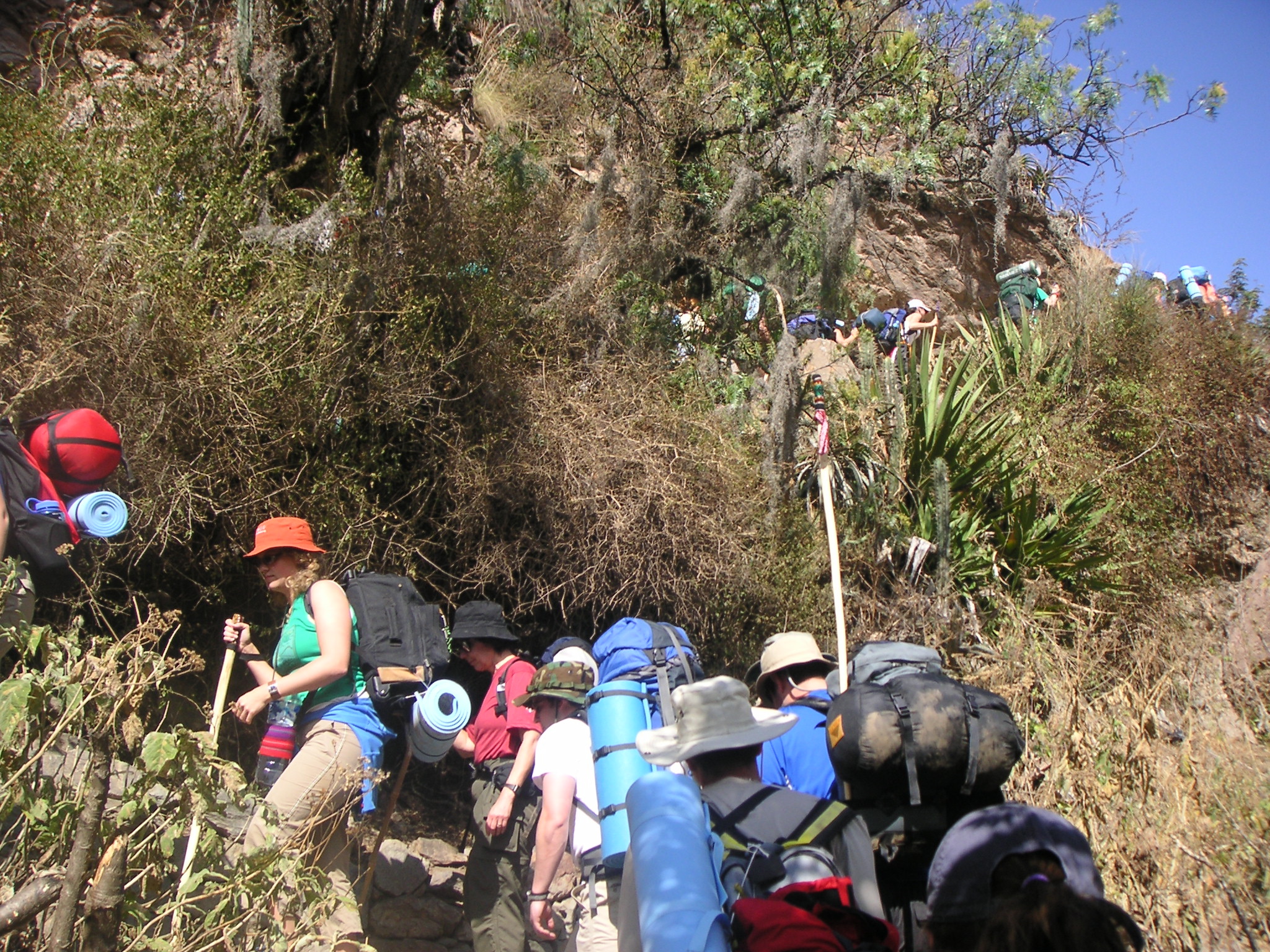 Everyone begins the hike.