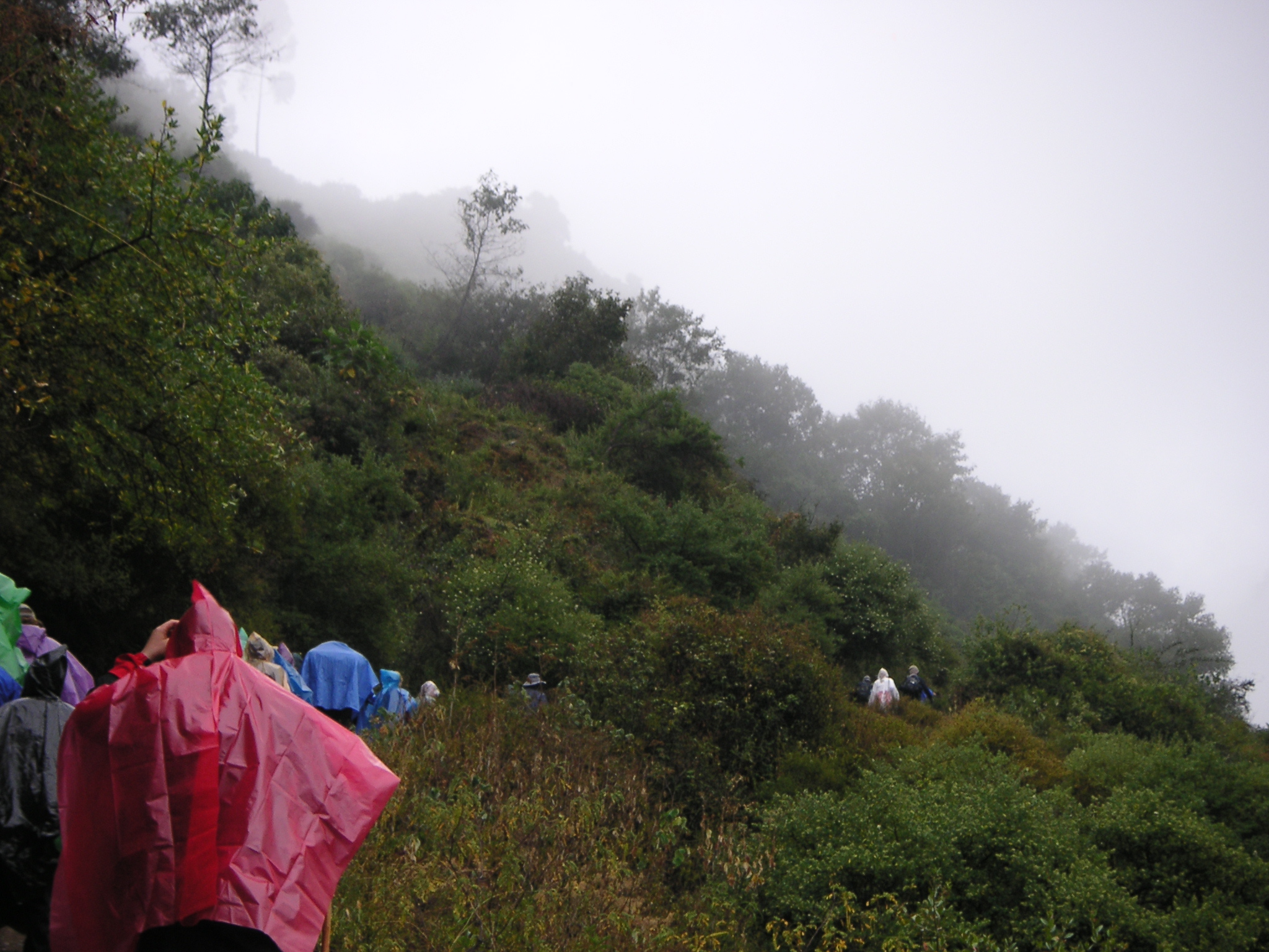 We begin our hike in the rain. We encounter many hikers who are not in our group.