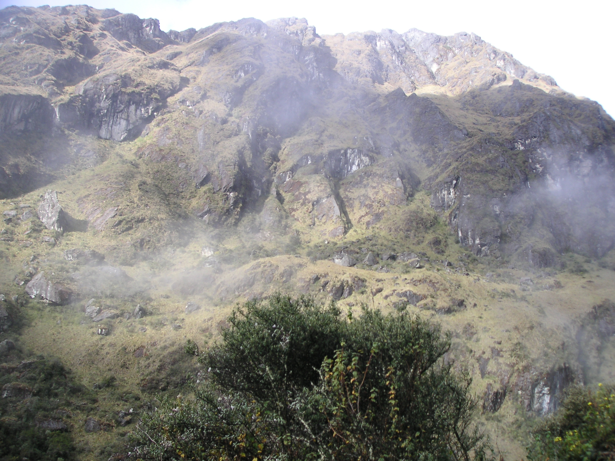 A view of the misty mountain.