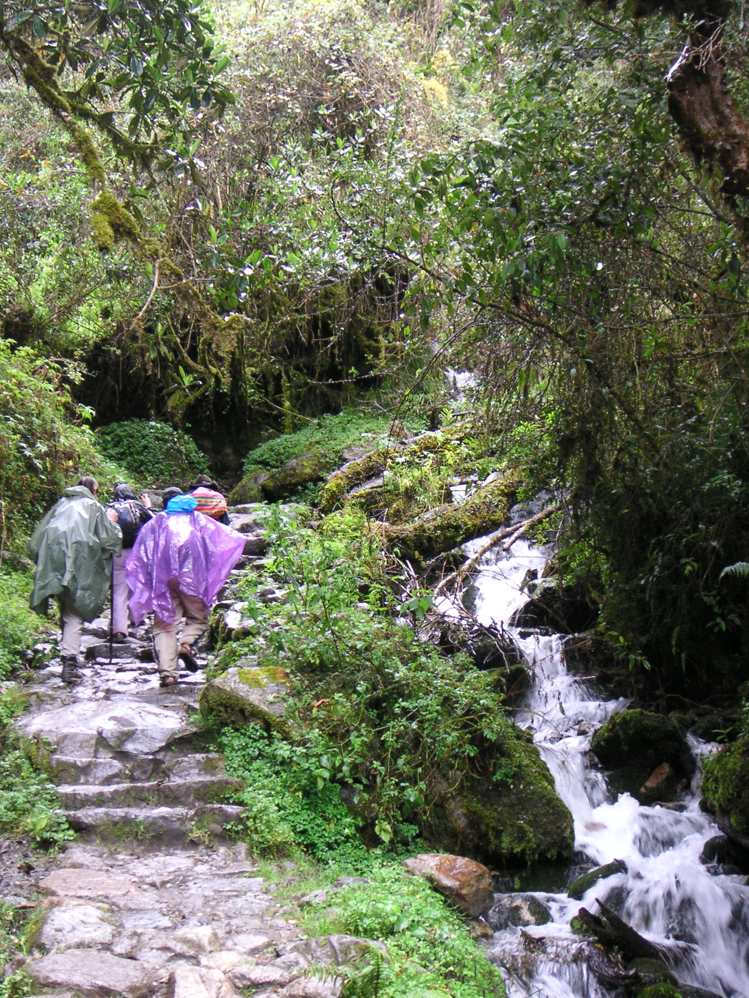 The trail follows a waterfall for part of the hike.