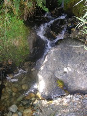 A waterfall and stream on the trail.
