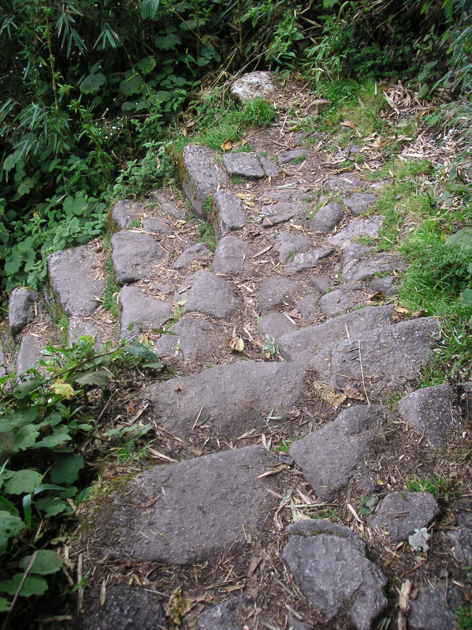 These are wickedly steep and rugged steps.