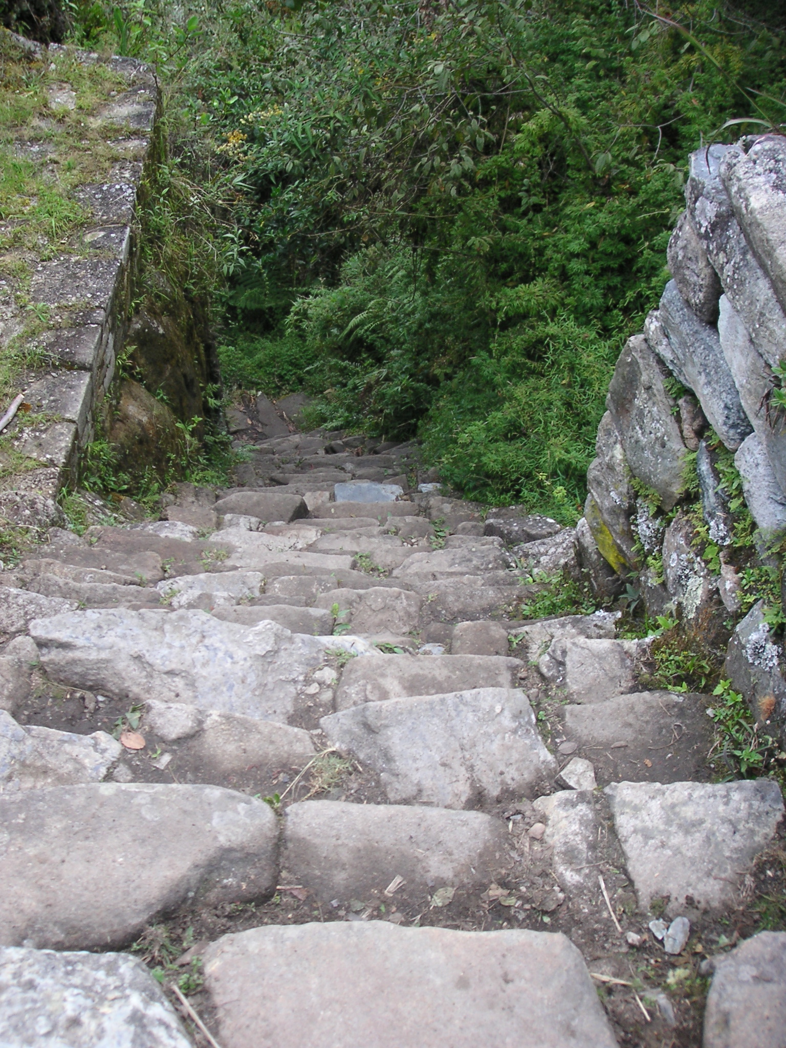 A trail of yet more rocky steps. I just came up these stairs. This is a view looking down.