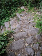 These are wickedly steep and rugged steps.