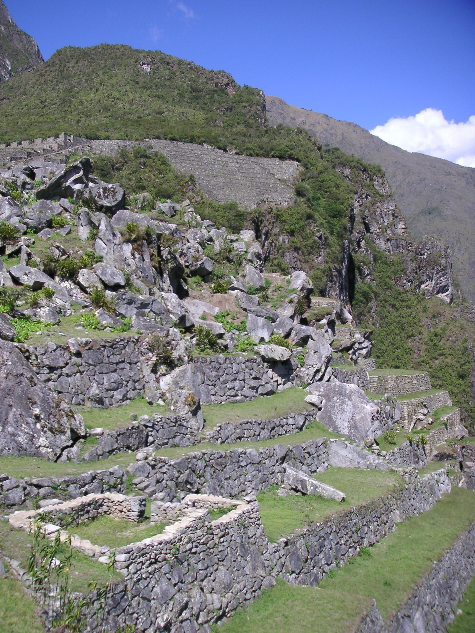 Views from inside Machu Picchu.