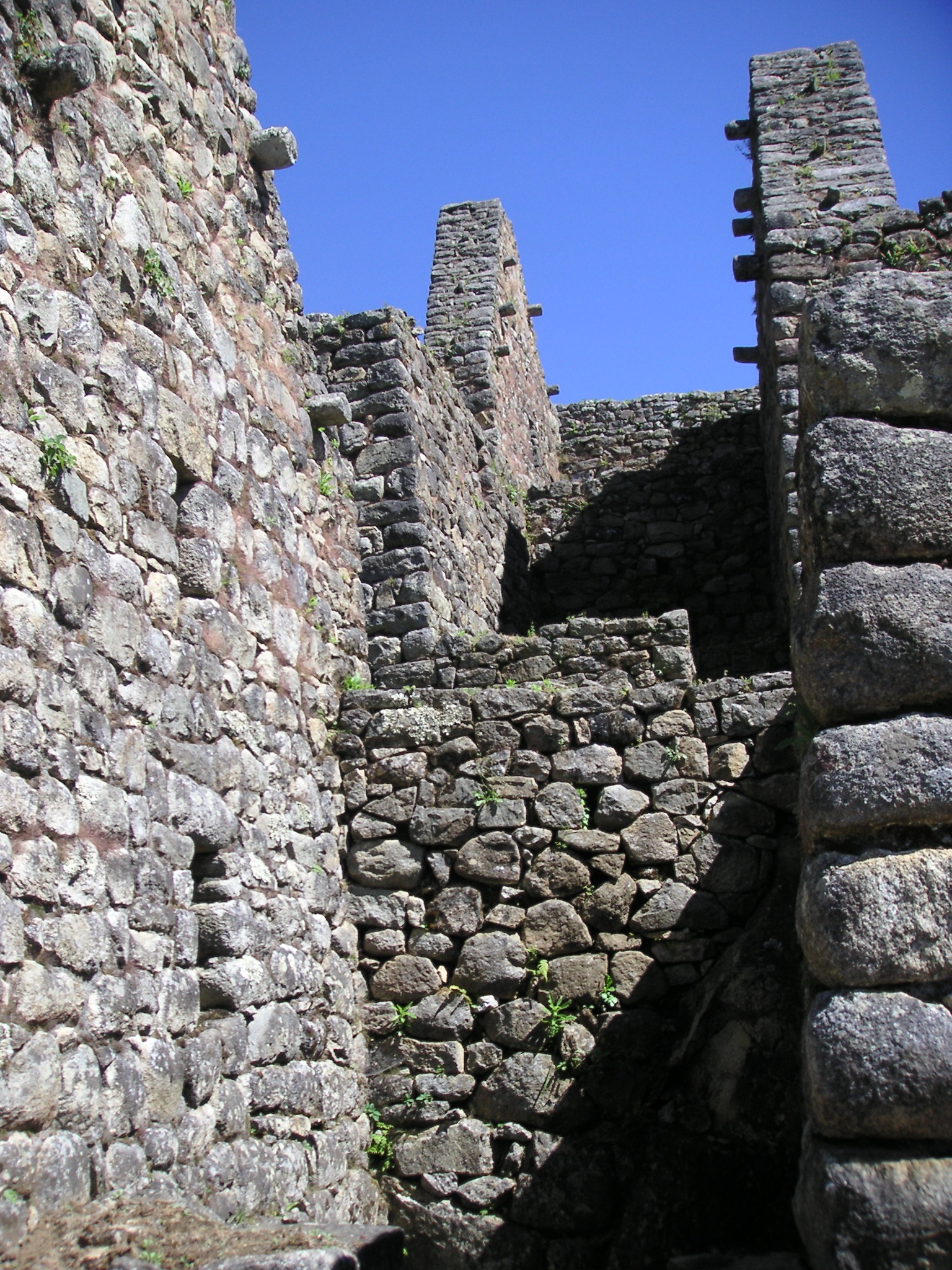 Views from inside Machu Picchu.