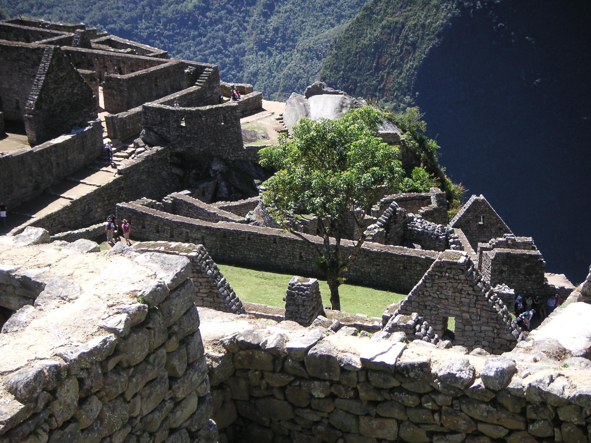 Views from inside Machu Picchu.