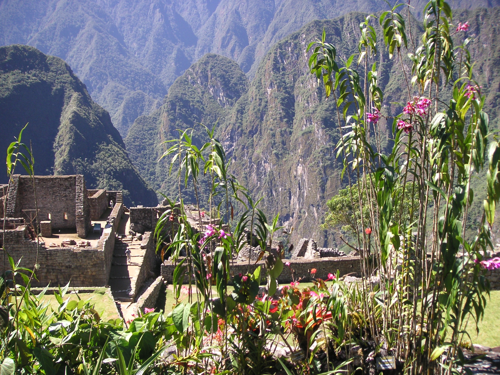 Views from inside Machu Picchu.