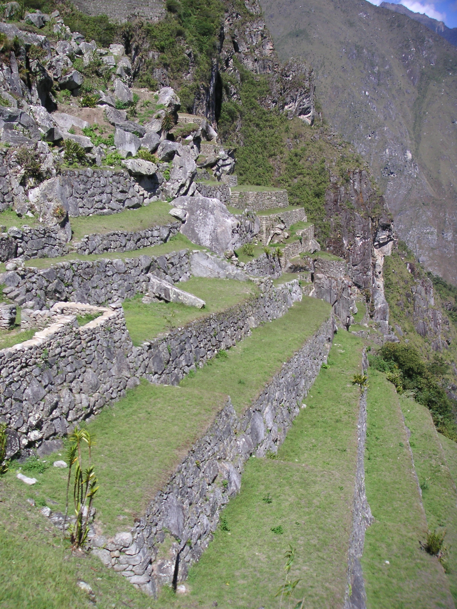 Views from inside Machu Picchu.