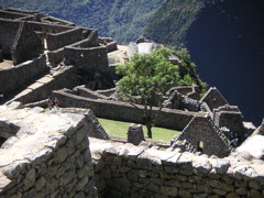 Views from inside Machu Picchu.