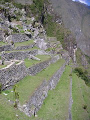 Views from inside Machu Picchu.