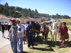 Before the horseback ride to Kenko, Pukapukara, and Tambomachay.