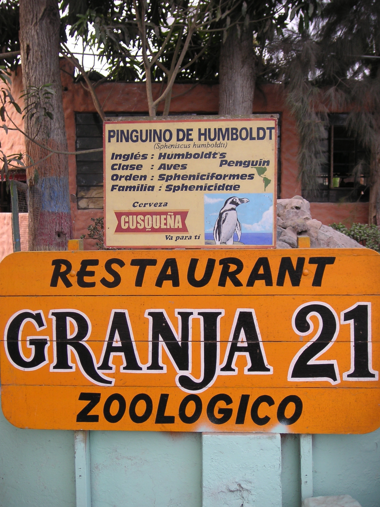 Granja 21 restaurant and zoo. My peruvian madre Maritza took Andrea and I here as a little getaway from Lima. There was sunlight!