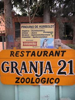 Granja 21 restaurant and zoo. My peruvian madre Maritza took Andrea and I here as a little getaway from Lima. There was sunlight!