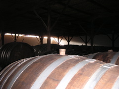 Inside the Ocucaje Winery.