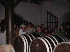 Inside the Ocucaje Winery, where we are tasting wine barreled in 1940.