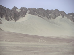 A view from the dune buggy ride.