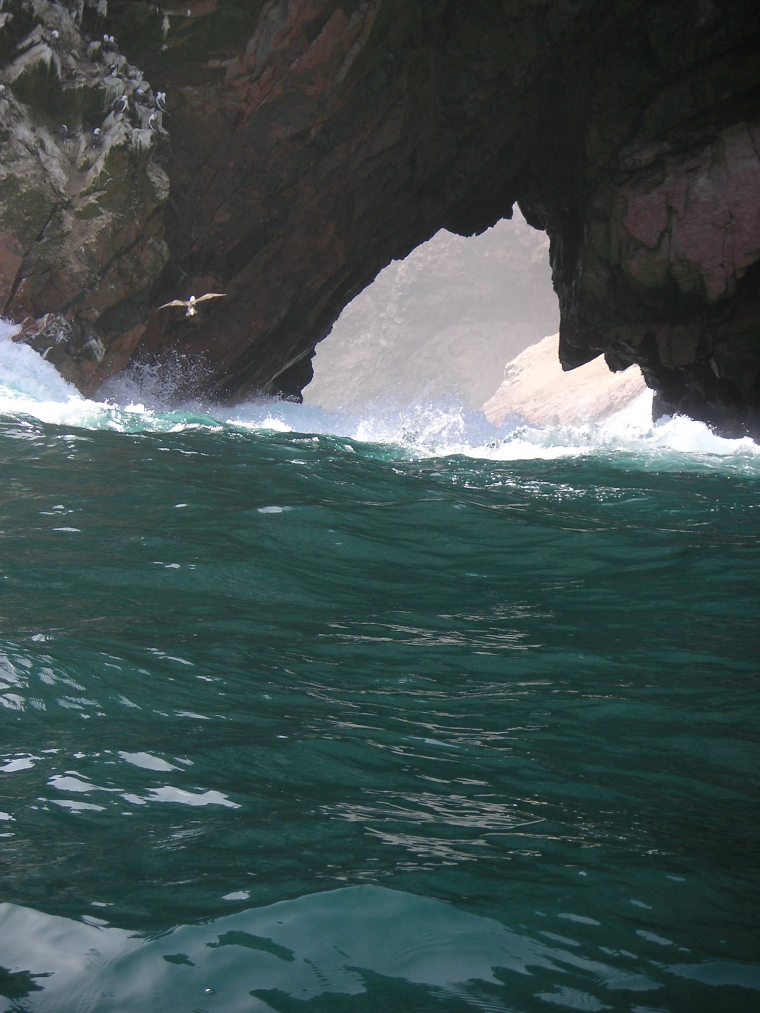 The National Reserve of Paracas, from the boat.