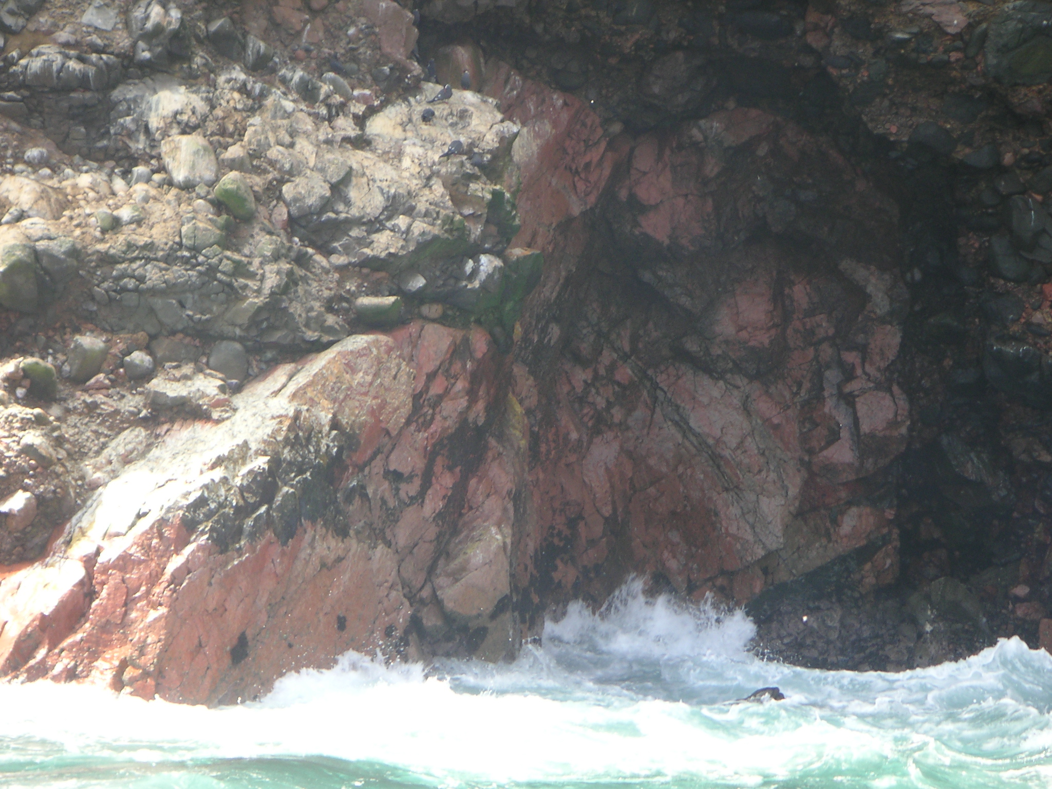 In this series of 6 pictures, a couple of sea lions are playing in the waves.