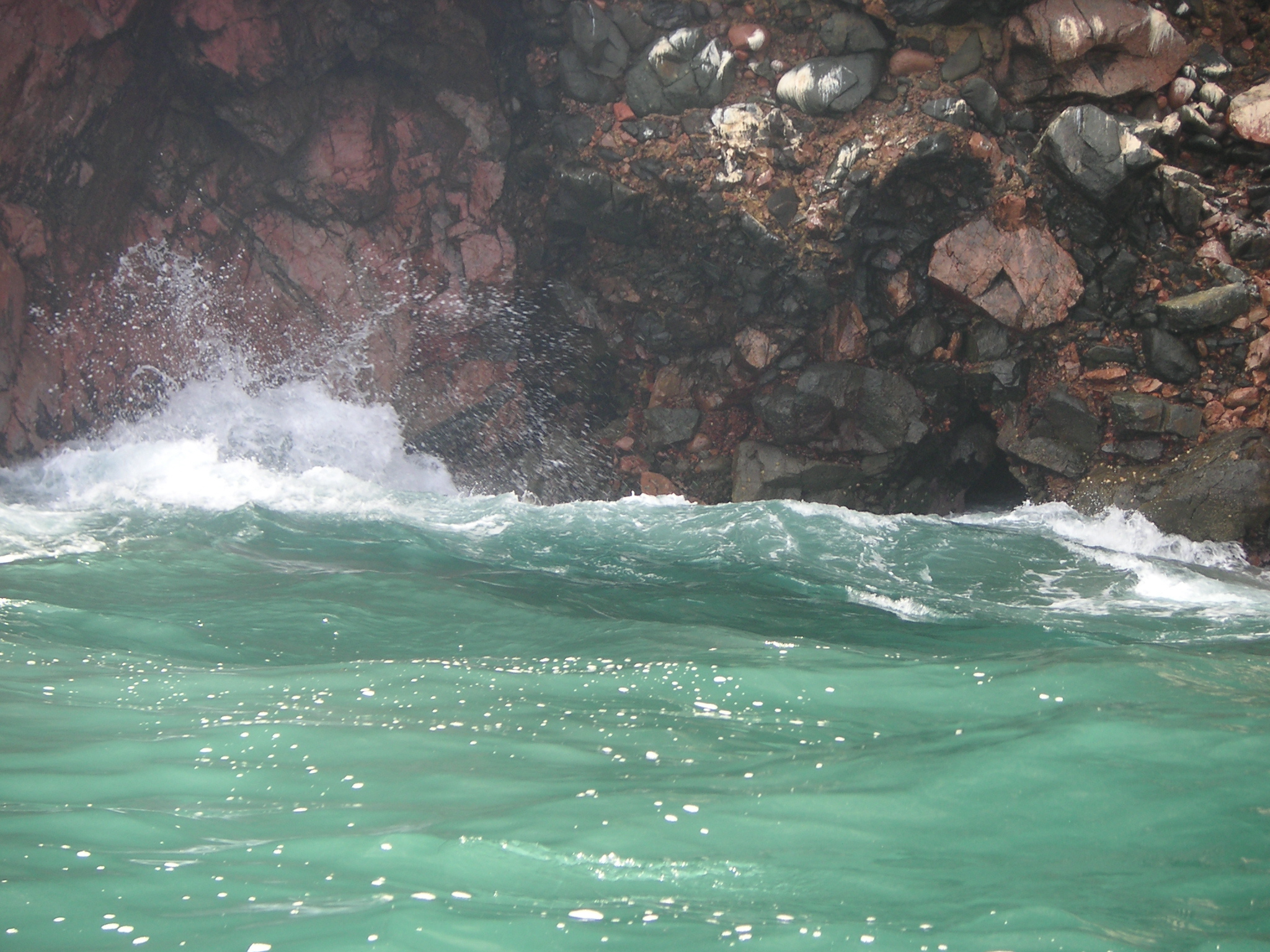 In this series of 6 pictures, a couple of sea lions are playing in the waves.