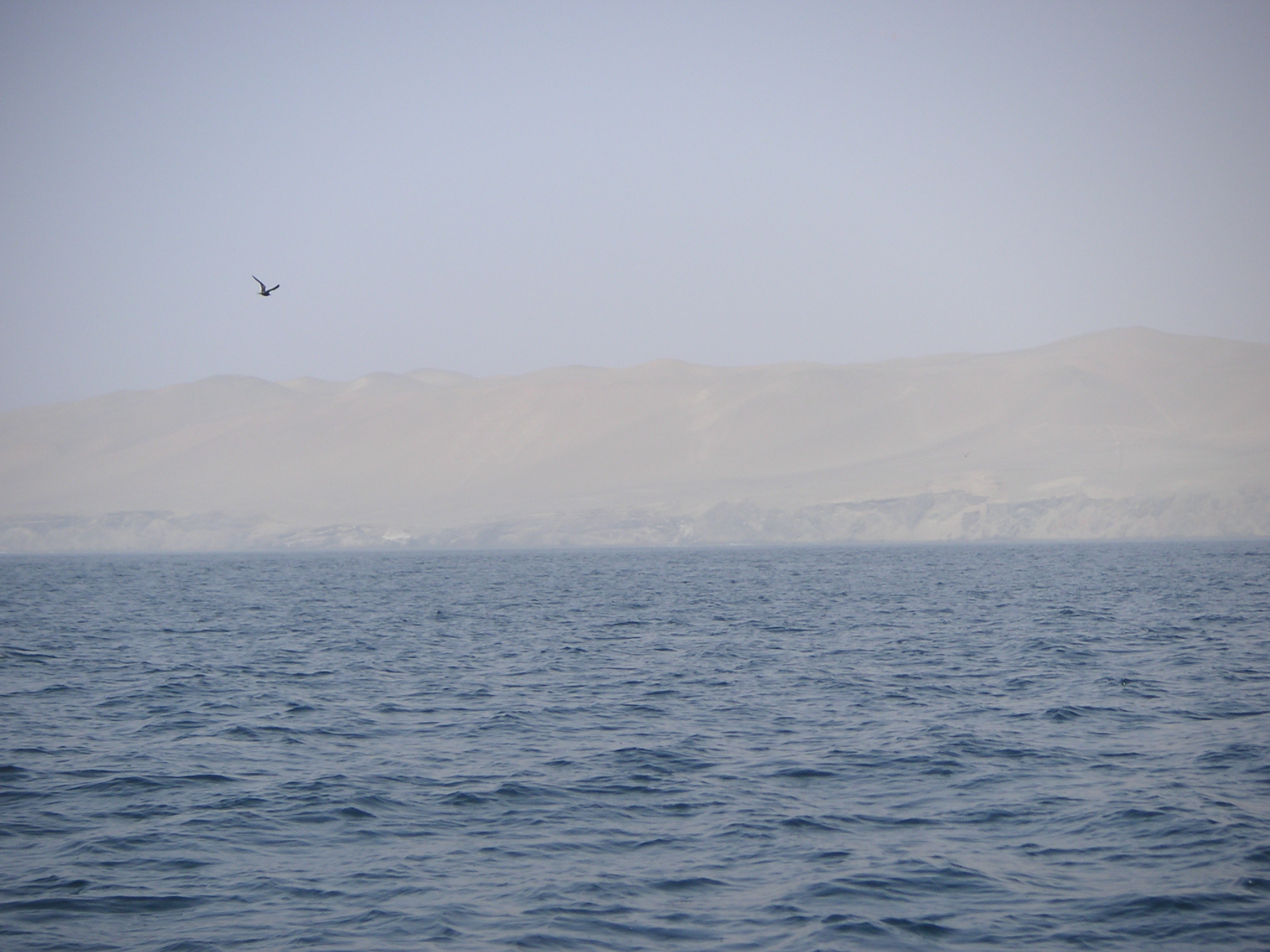 A distant view an island in the National Reserve of Paracas.