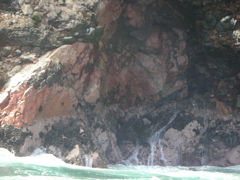 In this series of 6 pictures, a couple of sea lions are playing in the waves.