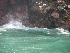 In this series of 6 pictures, a couple of sea lions are playing in the waves.