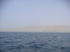 A distant view an island in the National Reserve of Paracas.