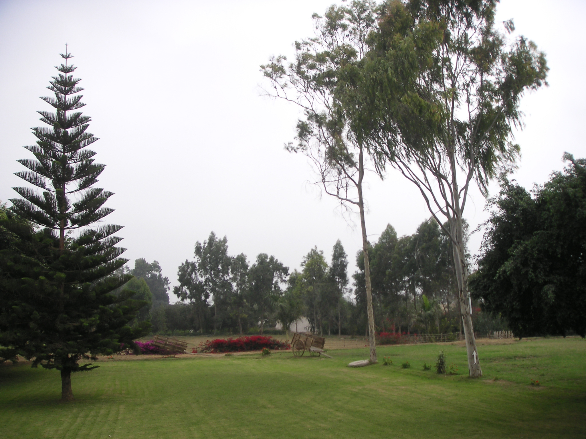 A view of the grounds at the Hotel-Hacienda San José, Chincha.