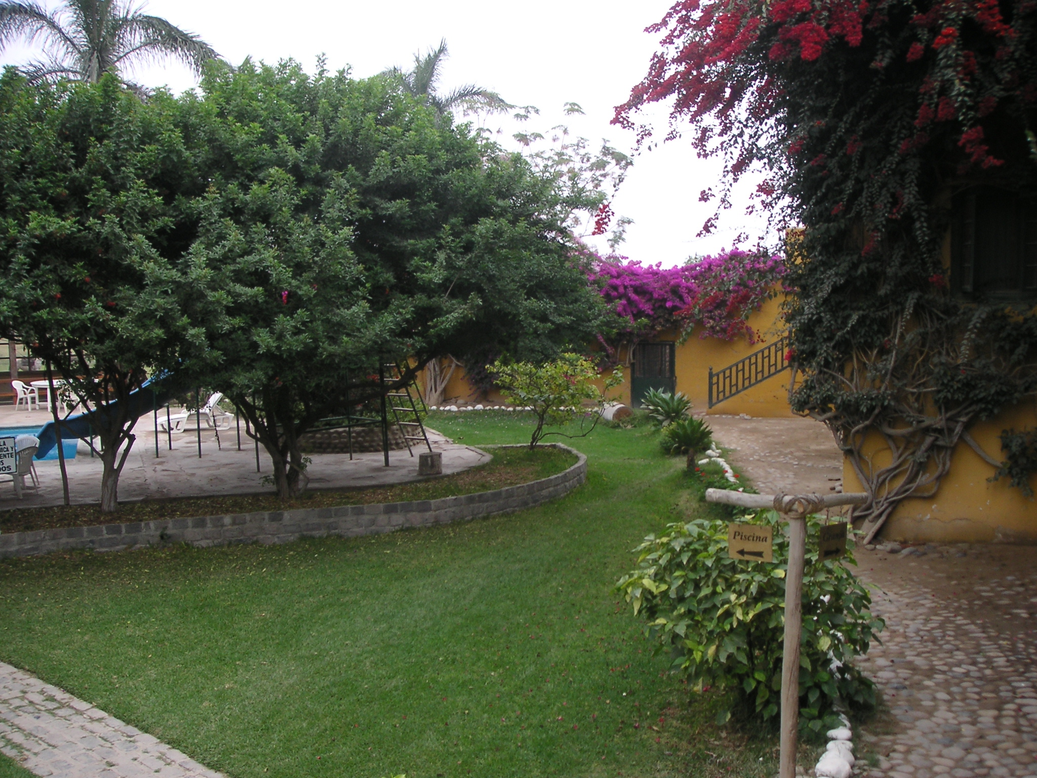 Behind the Hotel-Hacienda San José, Chincha.