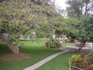 Behind the Hotel-Hacienda San José, Chincha.