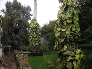 Another view of the grounds, Hotel-Hacienda San José, Chincha.